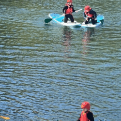 Unified paddle 3